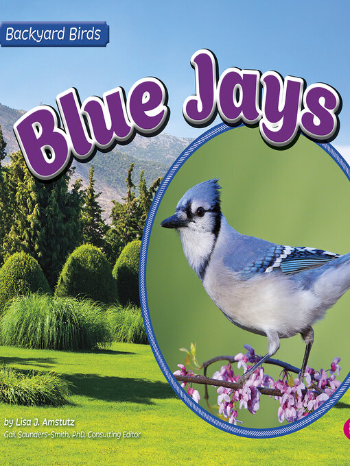Title details for Blue Jays by Lisa J. Amstutz - Wait list